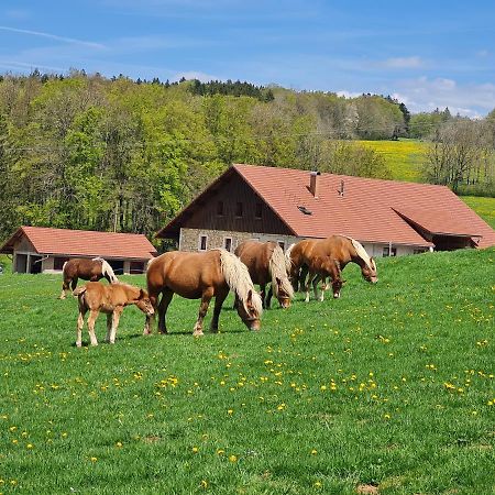 Gite Du Cheval Blanc Arcon  Exterior photo