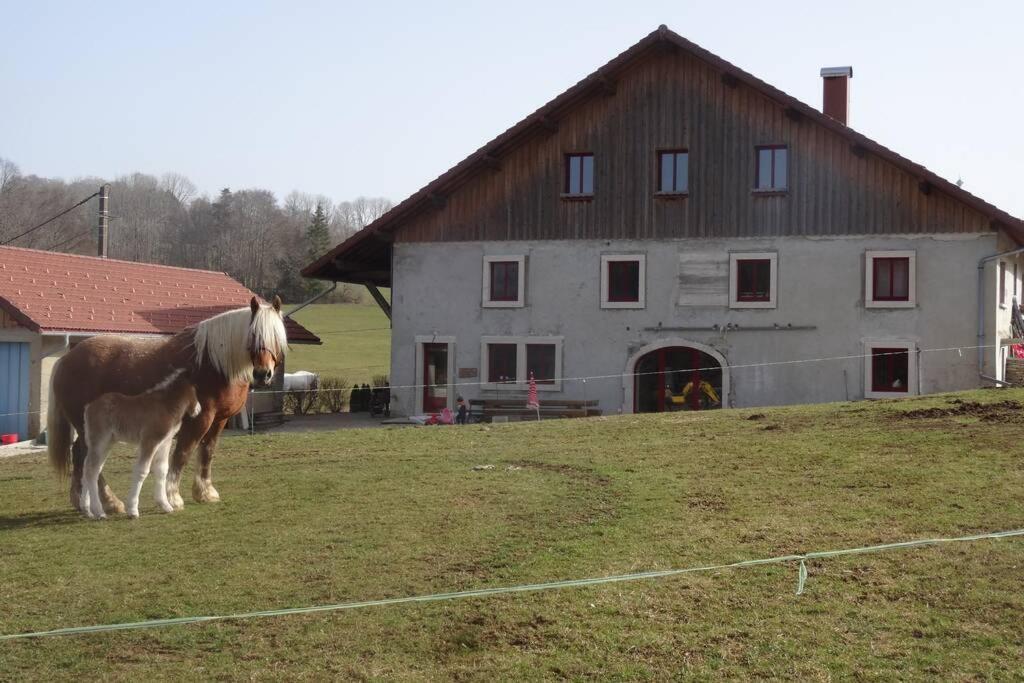 Gite Du Cheval Blanc Arcon  Exterior photo