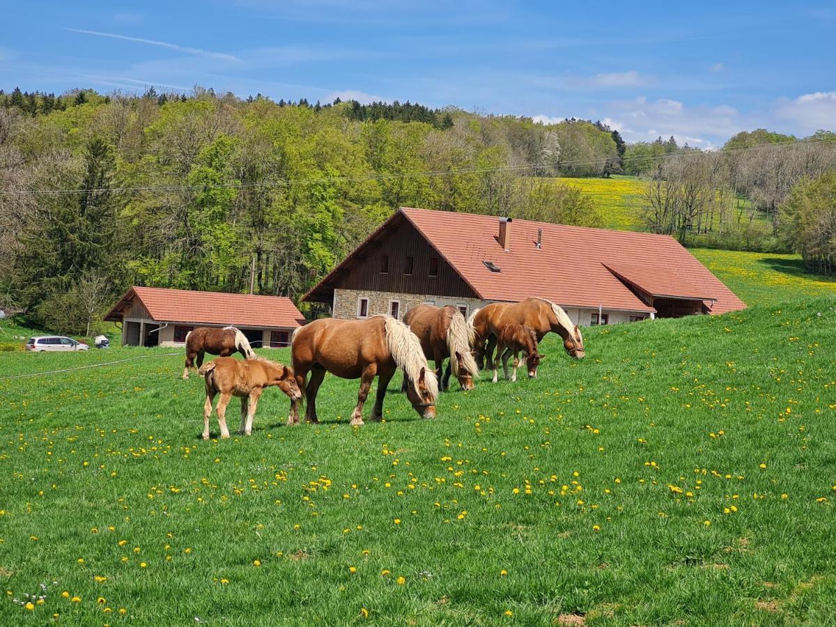 Gite Du Cheval Blanc Arcon  Exterior photo