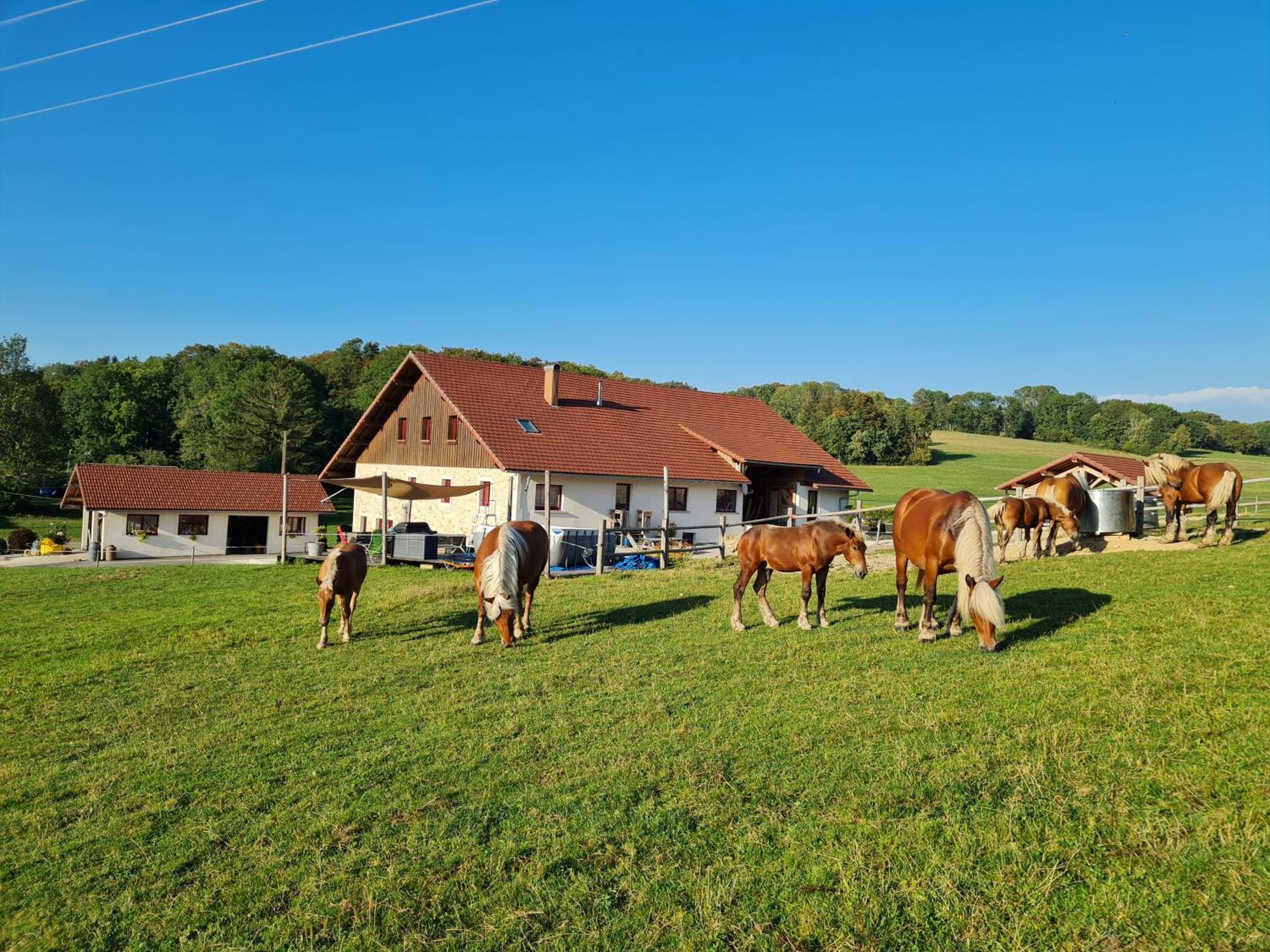 Gite Du Cheval Blanc Arcon  Exterior photo